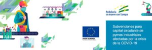 JORNADA ONLINE INFORMATIVA: PRESENTACIÓN "SUBVENCIONES PARA CAPITAL CIRCULANTE DE PYMES INDUSTRIALES" DE LA AGENCIA IDEA @ Sesión online