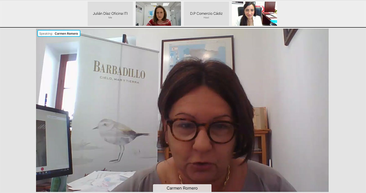 Intervención de Carmen Romero (Bodegas Barbadillo). Jornada Online "Productos y Servicios del ICEX para la Internacionalización de Empresas Gaditanas"